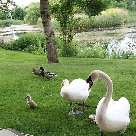 Cotswolds Lake Side Home With Luxury Spa Swallows Nest,Lower Mill Estate, Lakeside Home And Spa With A Harry Potter Cupboard Under The Stairs Somerford Keynes Εξωτερικό φωτογραφία