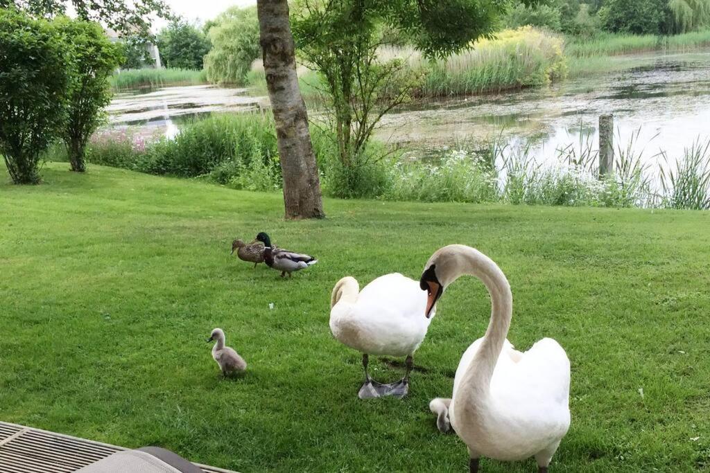 Cotswolds Lake Side Home With Luxury Spa Swallows Nest,Lower Mill Estate, Lakeside Home And Spa With A Harry Potter Cupboard Under The Stairs Somerford Keynes Εξωτερικό φωτογραφία